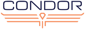 Condor Computing Logo